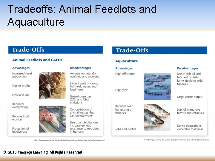 Tradeoffs: Animal Feedlots and Aquaculture © 2016 Cengage Learning. All Rights Reserved. 