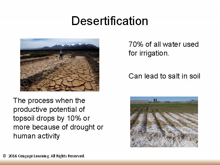 Desertification 70% of all water used for irrigation. Can lead to salt in soil