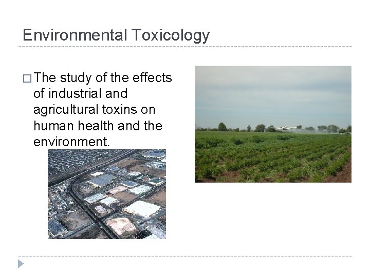 Environmental Toxicology � The study of the effects of industrial and agricultural toxins on