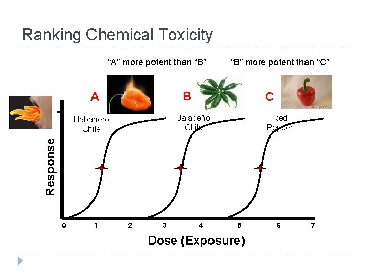 Ranking Chemical Toxicity “A” more potent than “B” more potent than “C” B A