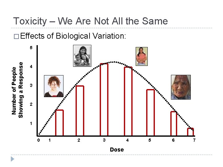 Toxicity – We Are Not All the Same � Effects of Biological Variation: Number