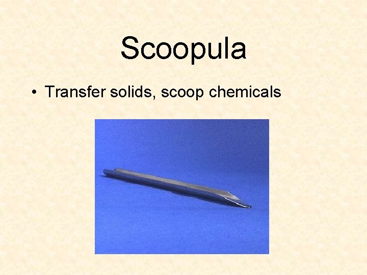 Scoopula • Transfer solids, scoop chemicals 