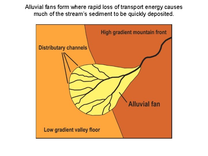 Alluvial fans form where rapid loss of transport energy causes much of the stream’s