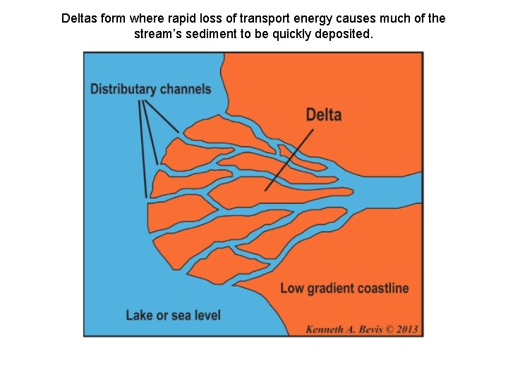 Deltas form where rapid loss of transport energy causes much of the stream’s sediment