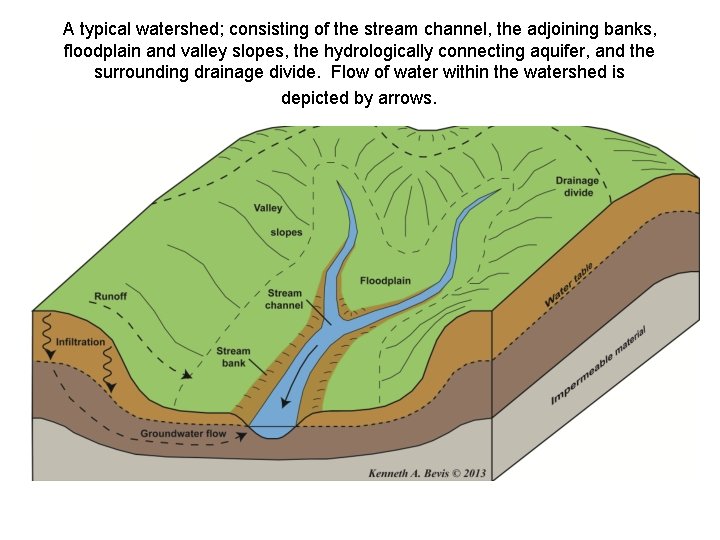 A typical watershed; consisting of the stream channel, the adjoining banks, floodplain and valley