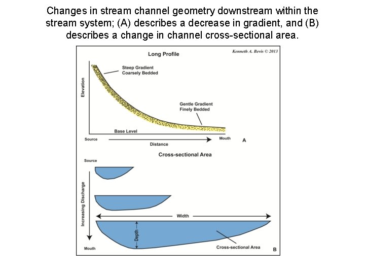 Changes in stream channel geometry downstream within the stream system; (A) describes a decrease