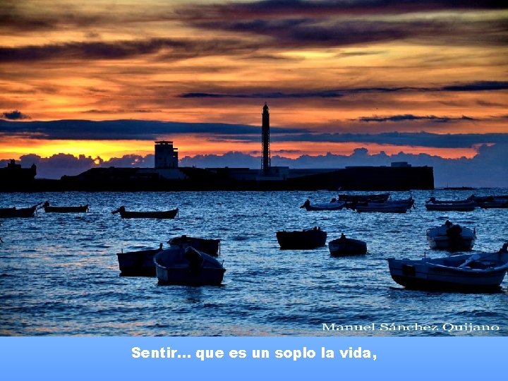 Sentir. . . que es un soplo la vida, Sentir. . . que es un soplo la vida,