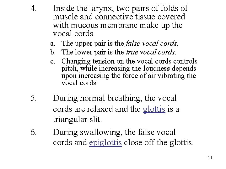 Chapter 16 Respiratory System Copyright The Mc GrawHill