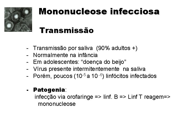 Mononucleose infecciosa Transmissão - Transmissão por saliva (90% adultos +) Normalmente na infância Em