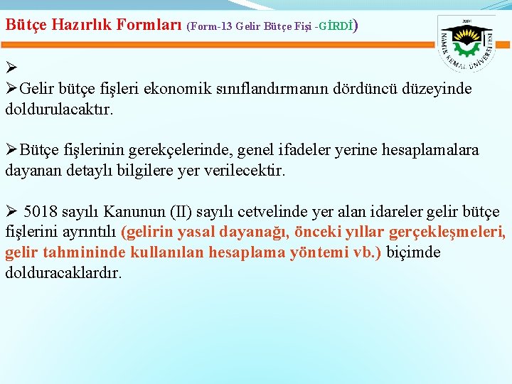 Bütçe Hazırlık Formları (Form-13 Gelir Bütçe Fişi -GİRDİ) Ø ØGelir bütçe fişleri ekonomik sınıflandırmanın