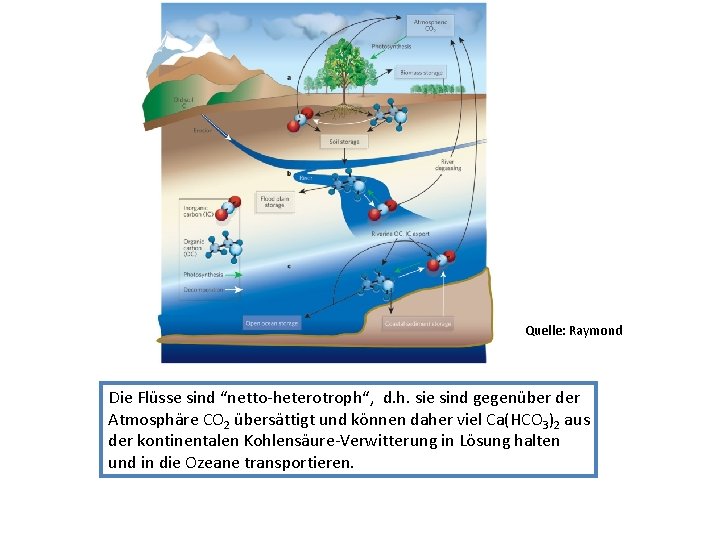 Quelle: Raymond Die Flüsse sind “netto-heterotroph“, d. h. sie sind gegenüber der Atmosphäre CO