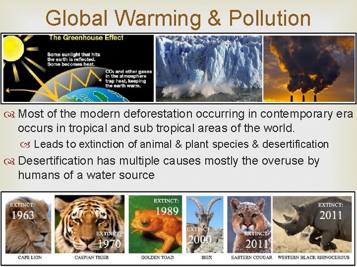 Global Warming & Pollution Most of the modern deforestation occurring in contemporary era occurs