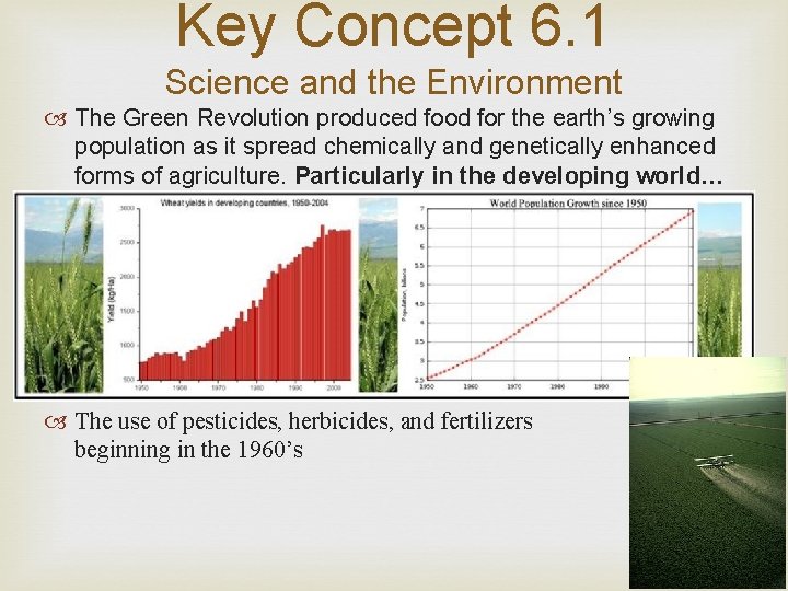 Key Concept 6. 1 Science and the Environment The Green Revolution produced food for