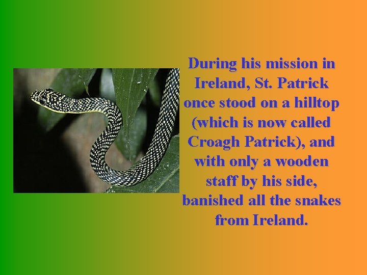 During his mission in Ireland, St. Patrick once stood on a hilltop (which is