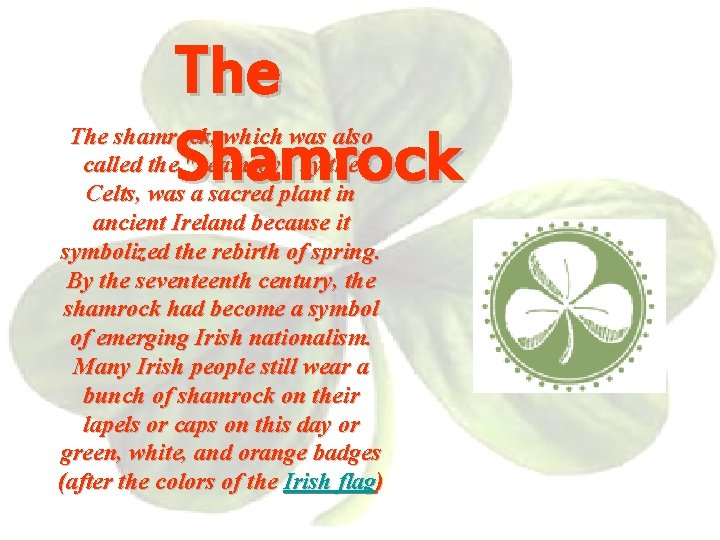 The Shamrock The shamrock, which was also called the "seamroy" by the Celts, was