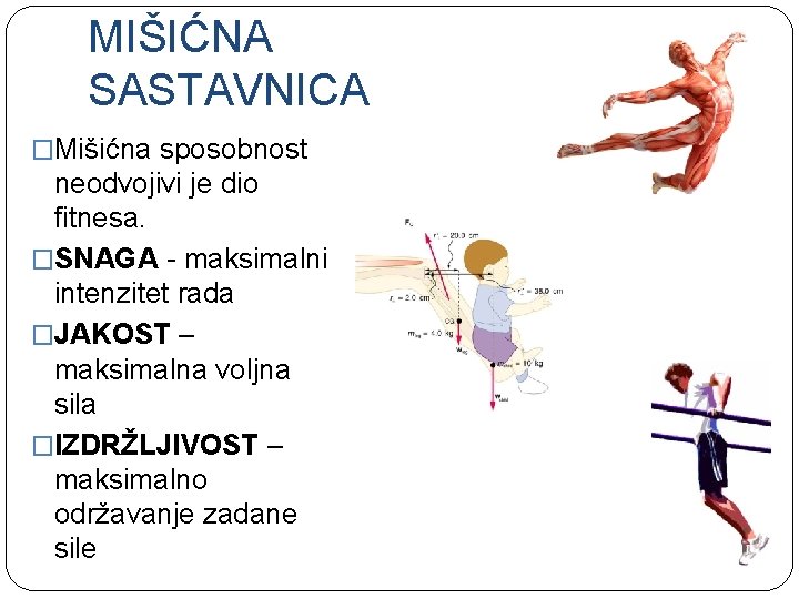 MIŠIĆNA SASTAVNICA �Mišićna sposobnost neodvojivi je dio fitnesa. �SNAGA - maksimalni intenzitet rada �JAKOST