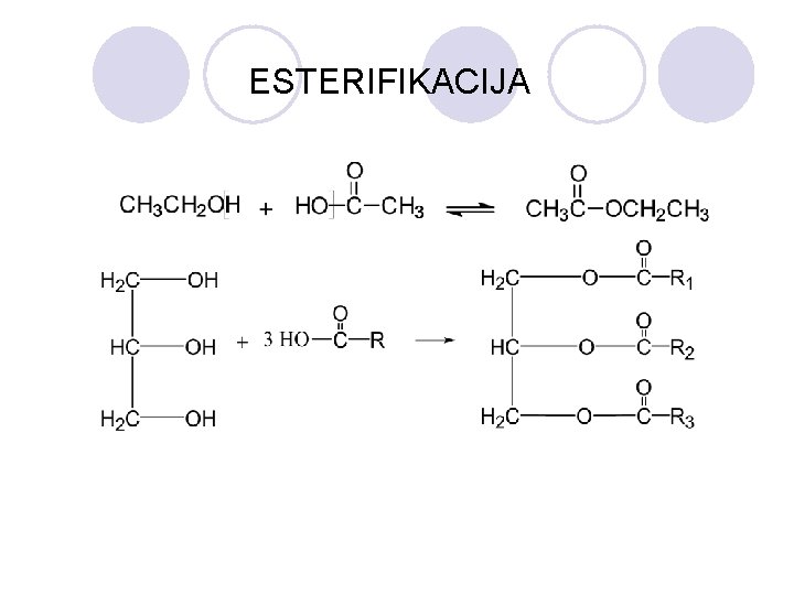 ESTERIFIKACIJA 