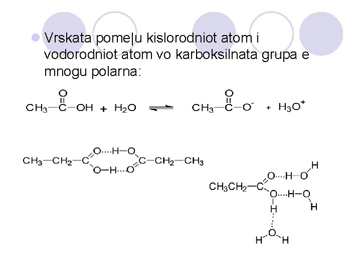 l Vrskata pome|u kislorodniot atom i vodorodniot atom vo karboksilnata grupa e mnogu polarna: