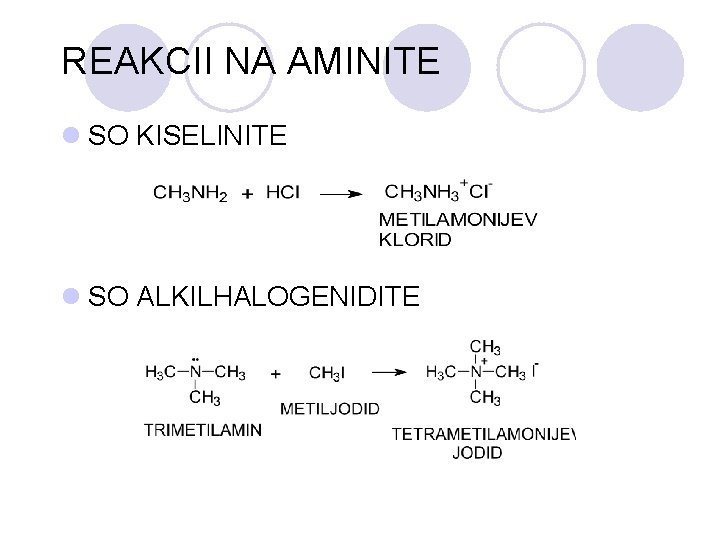 REAKCII NA AMINITE l SO KISELINITE l SO ALKILHALOGENIDITE 