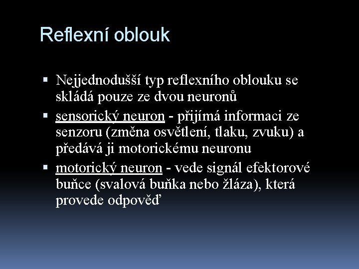 Reflexní oblouk Nejjednodušší typ reflexního oblouku se skládá pouze ze dvou neuronů sensorický neuron