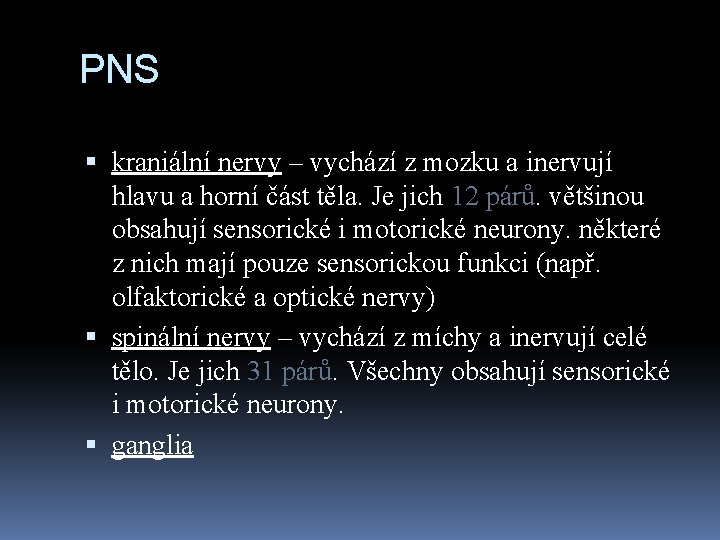 PNS kraniální nervy – vychází z mozku a inervují hlavu a horní část těla.