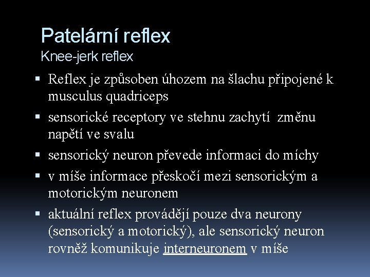 Patelární reflex Knee-jerk reflex Reflex je způsoben úhozem na šlachu připojené k musculus quadriceps