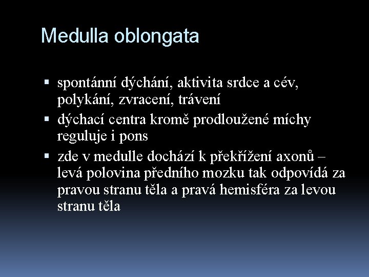 Medulla oblongata spontánní dýchání, aktivita srdce a cév, polykání, zvracení, trávení dýchací centra kromě