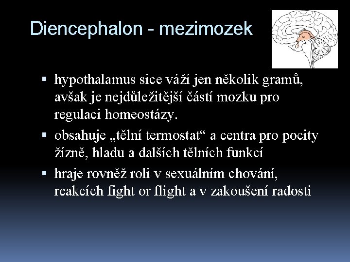 Diencephalon - mezimozek hypothalamus sice váží jen několik gramů, avšak je nejdůležitější částí mozku