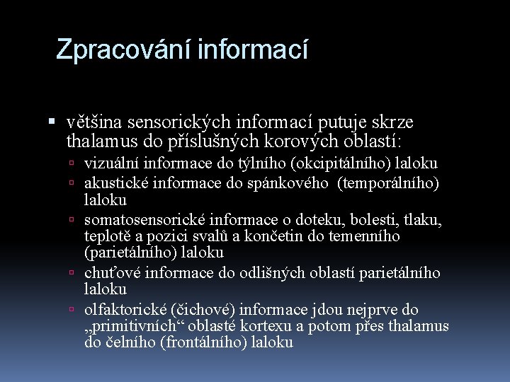 Zpracování informací většina sensorických informací putuje skrze thalamus do příslušných korových oblastí: vizuální informace