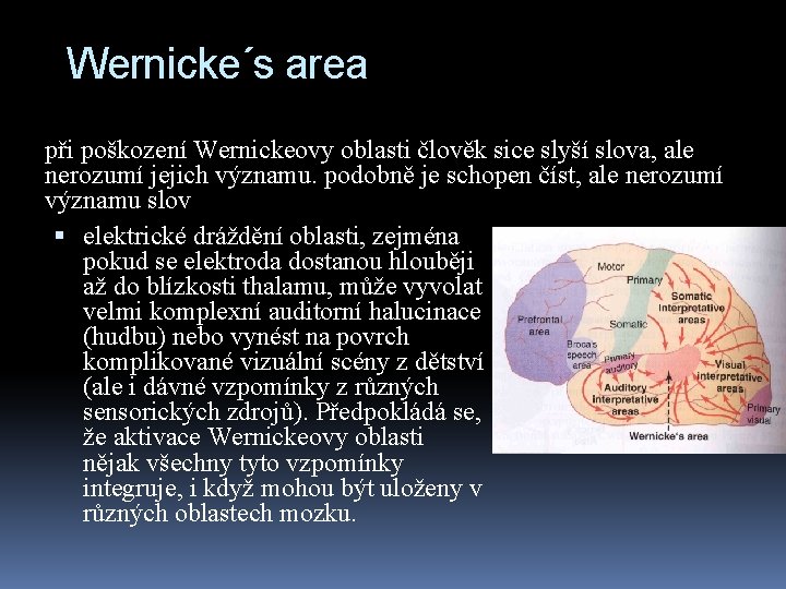 Wernicke´s area při poškození Wernickeovy oblasti člověk sice slyší slova, ale nerozumí jejich významu.