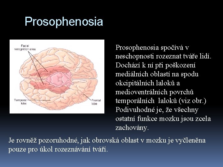 Prosophenosia spočívá v neschopnosti rozeznat tváře lidí. Dochází k ní při poškození mediálních oblastí