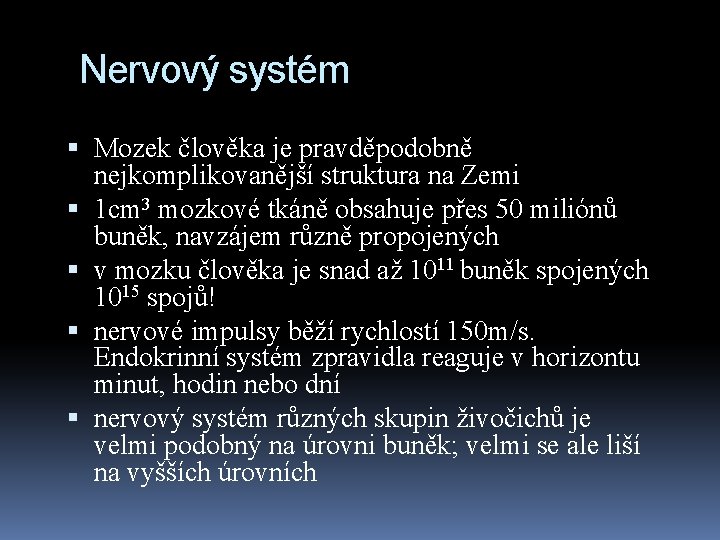 Nervový systém Mozek člověka je pravděpodobně nejkomplikovanější struktura na Zemi 1 cm 3 mozkové