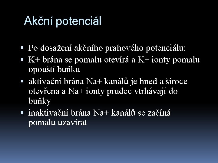 Akční potenciál Po dosažení akčního prahového potenciálu: K+ brána se pomalu otevírá a K+