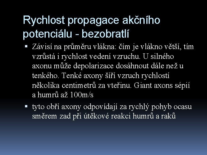 Rychlost propagace akčního potenciálu - bezobratlí Závisí na průměru vlákna: čím je vlákno větší,