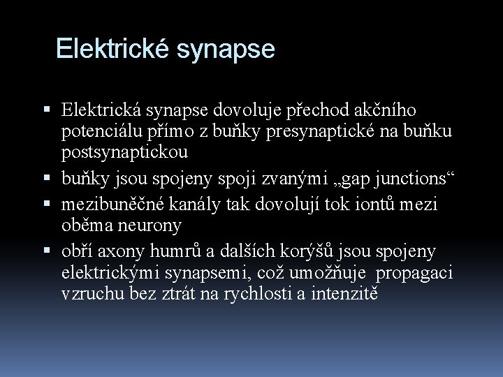 Elektrické synapse Elektrická synapse dovoluje přechod akčního potenciálu přímo z buňky presynaptické na buňku