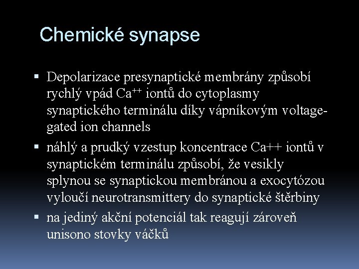 Chemické synapse Depolarizace presynaptické membrány způsobí rychlý vpád Ca++ iontů do cytoplasmy synaptického terminálu