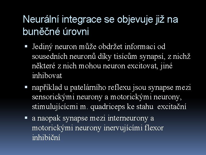 Neurální integrace se objevuje již na buněčné úrovni Jediný neuron může obdržet informaci od
