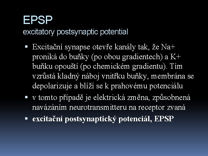 EPSP excitatory postsynaptic potential Excitační synapse otevře kanály tak, že Na+ proniká do buňky