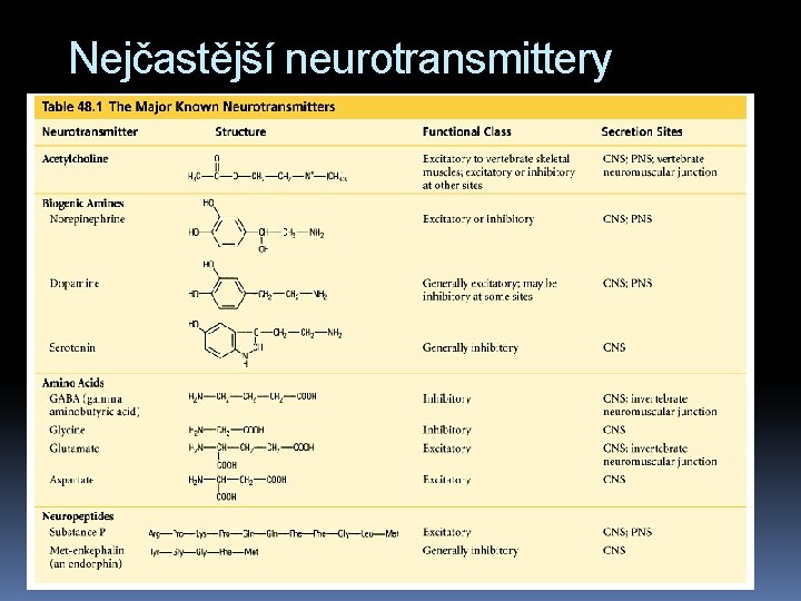 Nejčastější neurotransmittery 