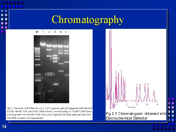 Chromatography 14 