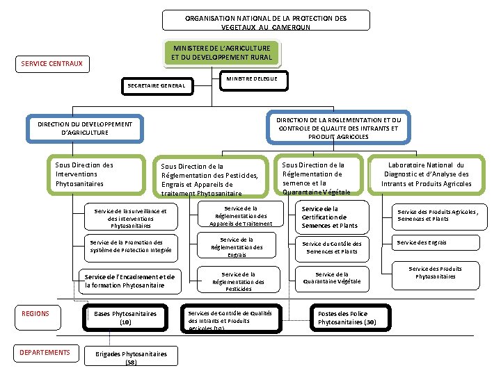 ORGANISATION NATIONAL DE LA PROTECTION DES VEGETAUX AU CAMEROUN MINISTERE DE L’AGRICULTURE ET DU