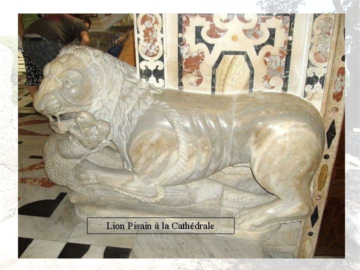 Lion Pisain à la Cathédrale 