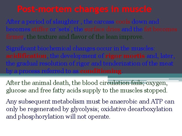 Post-mortem changes in muscle After a period of slaughter , the carcass cools down