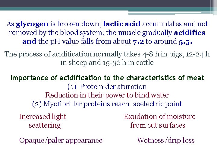 As glycogen is broken down; lactic acid accumulates and not removed by the blood