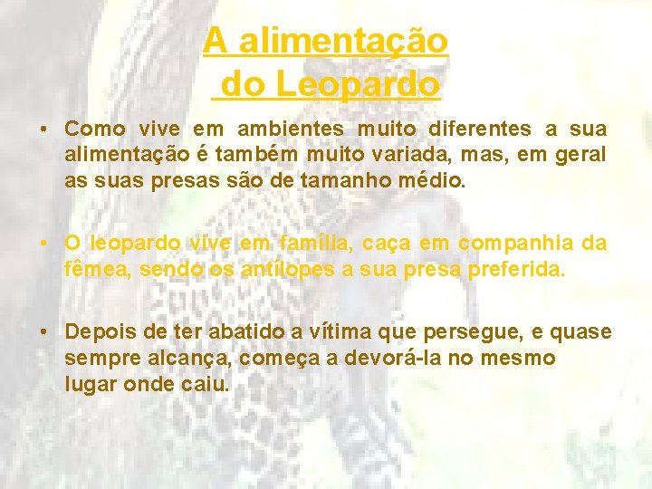 A alimentação do Leopardo • Como vive em ambientes muito diferentes a sua alimentação