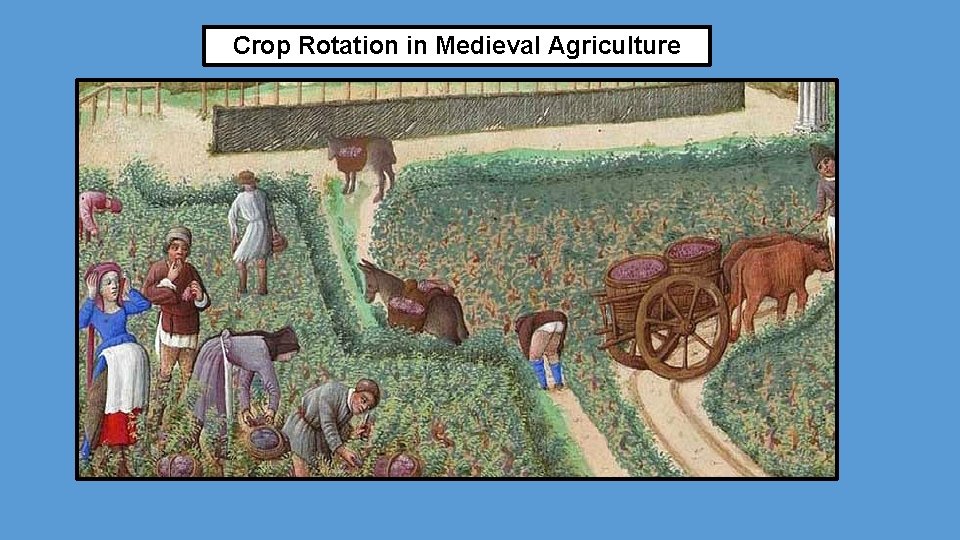 Crop Rotation in Medieval Agriculture 