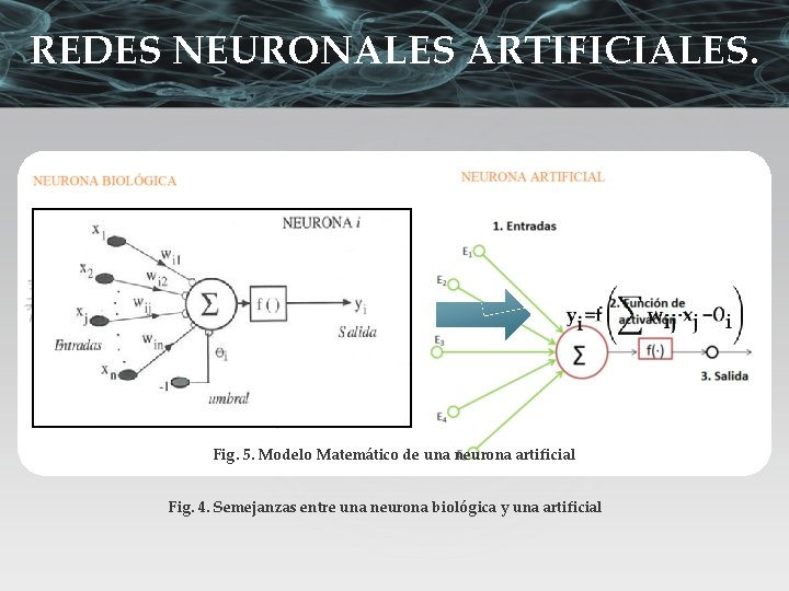 REDES NEURONALES ARTIFICIALES. Fig. 5. Modelo Matemático de una neurona artificial Fig. 4. Semejanzas