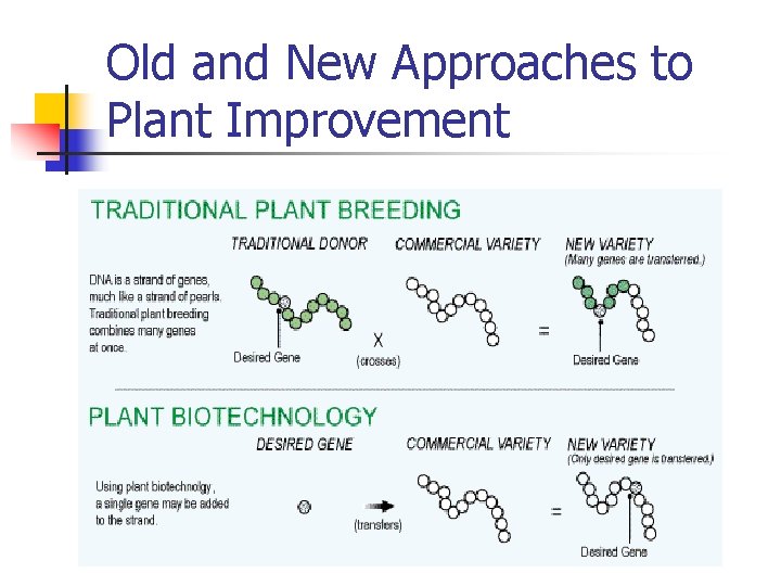Old and New Approaches to Plant Improvement 