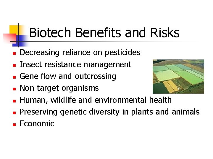 Biotech Benefits and Risks n n n n Decreasing reliance on pesticides Insect resistance