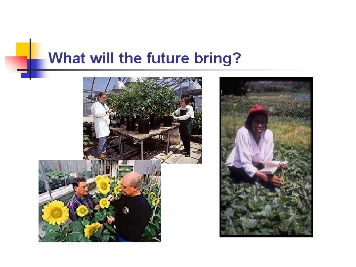 What will the future bring? 